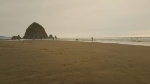 Haystack Rock Today